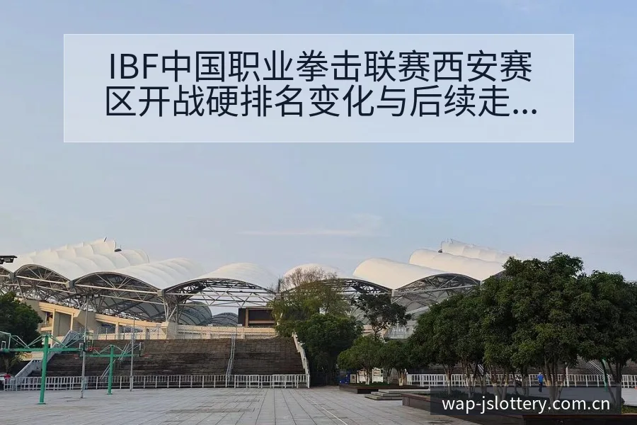 IBF中国职业拳击联赛西安赛区开战硬排名变化与后续走势阵 - 体育彩票